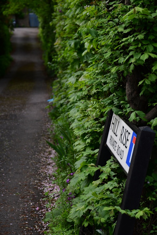 London/Forest Hill/DSC_0245.JPG